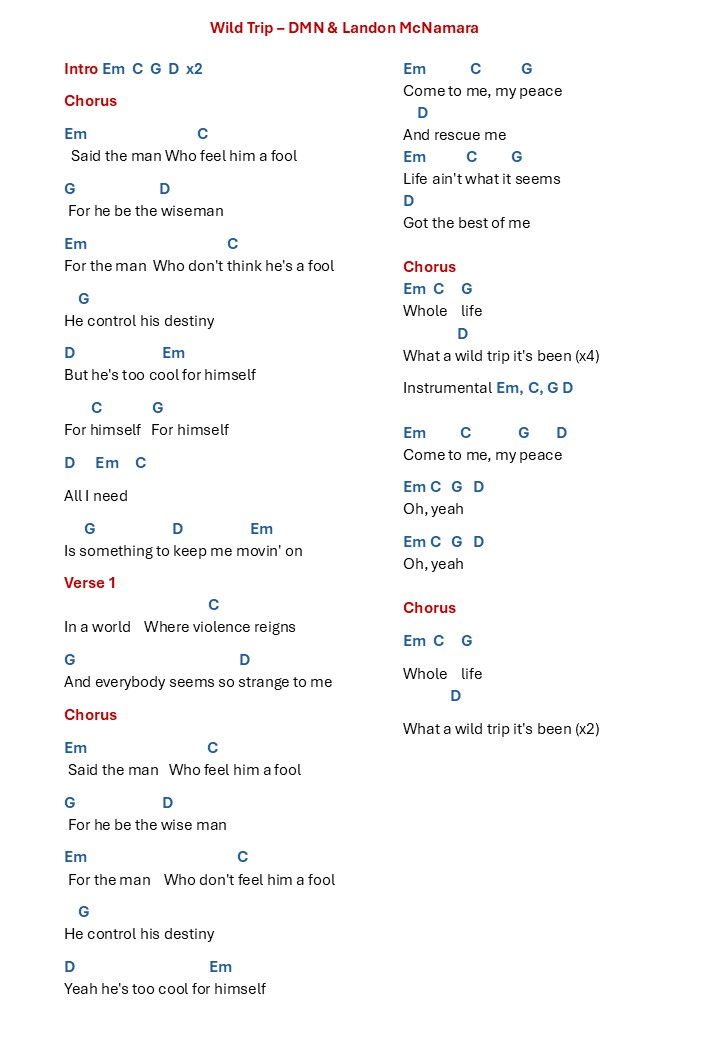 Wild Trip- chords and lyrics