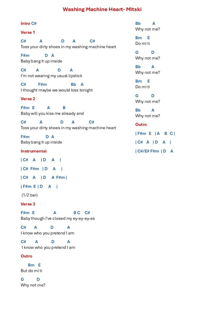 Washing Machine Heart- guitar chords